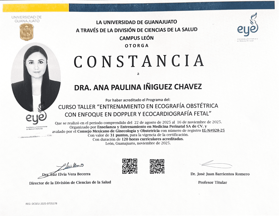 Universidad de Guanajuato